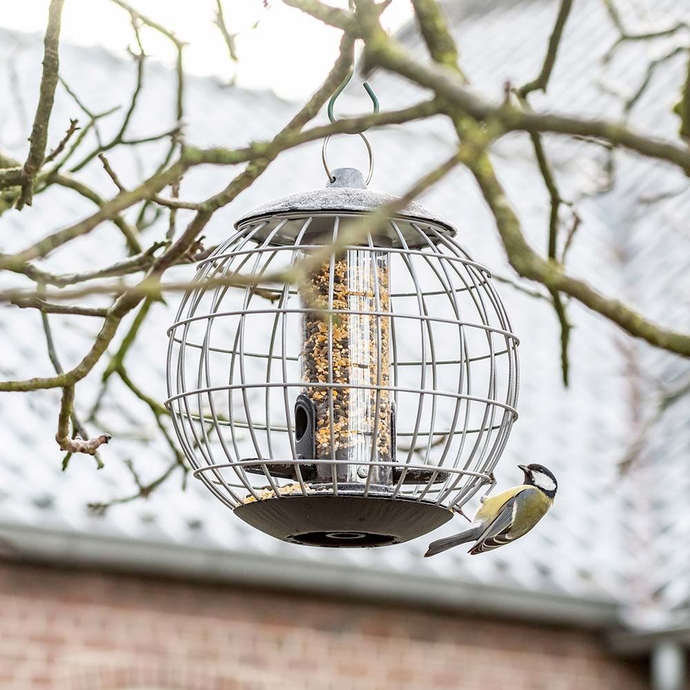 Kove e vogel per te shplare femijen me balene GRI 3