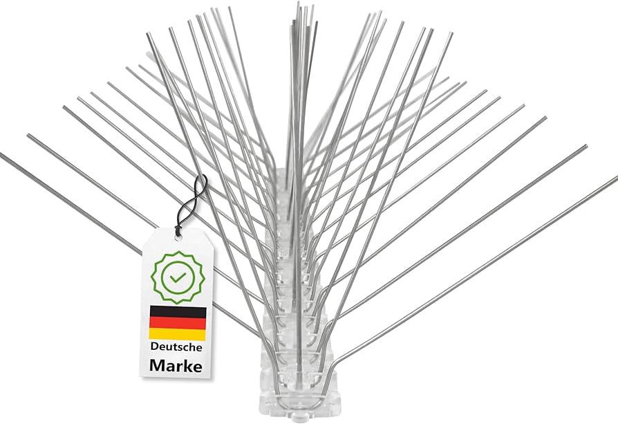 Kove e vogel per te shplare femijen me balene GRI 2