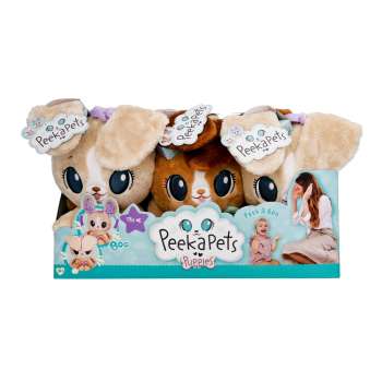 PEEKAPETS PUPPIES CDU 4