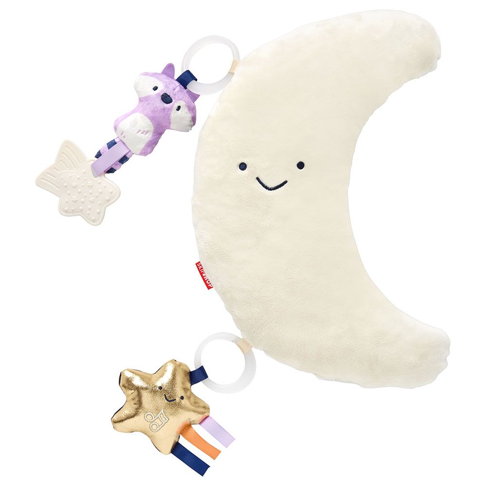 J002110 Celestial Dreams Activity Gym 3